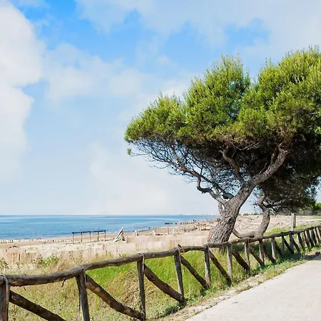 Апартаменти Bright And Cosy In Lido Dei Pini Бібіоне
