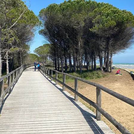 Bright And Cosy In Lido Dei Pini Апартаменты *