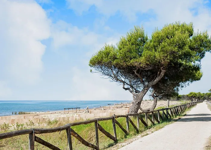 Апартаменти Bright And Cosy In Lido Dei Pini Бібіоне