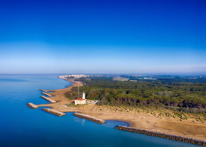 Bright And Cosy In Lido Dei Pini